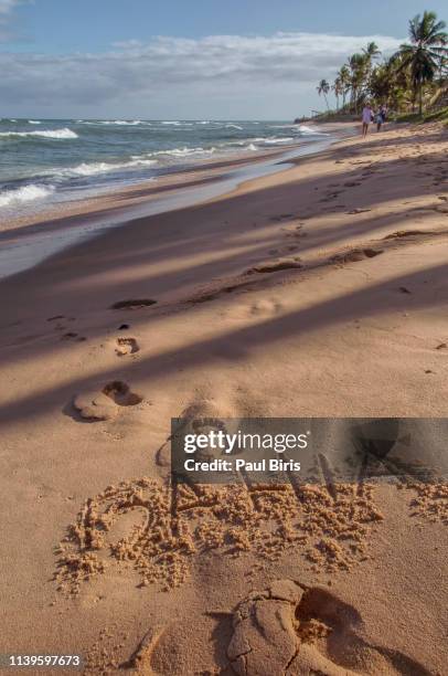 footprints on the sand on a tropical beach, praia do forte beach ,bahia, brazil - forte beach stock pictures, royalty-free photos & images