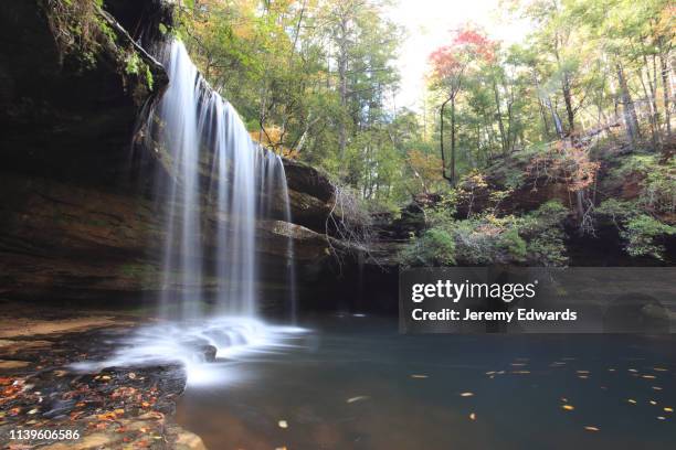 caney falls i alabama - alabama bildbanksfoton och bilder