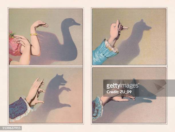 ilustrações de stock, clip art, desenhos animados e ícones de hand shadow puppets: swan, bear, greyhound, wolf, chromolithograph, published 1888 - fantoche