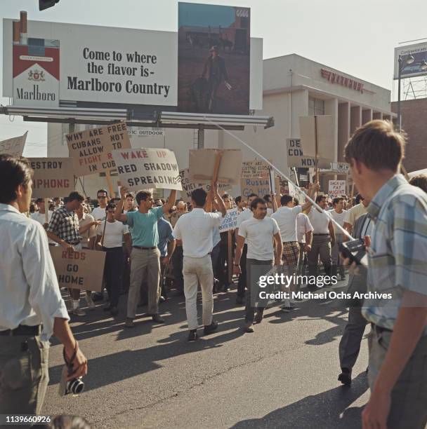 Protest against the Vietnam War clashes with counter-protestors from Cuba in Lafayette Park, Los Angeles, 6th August 1967.