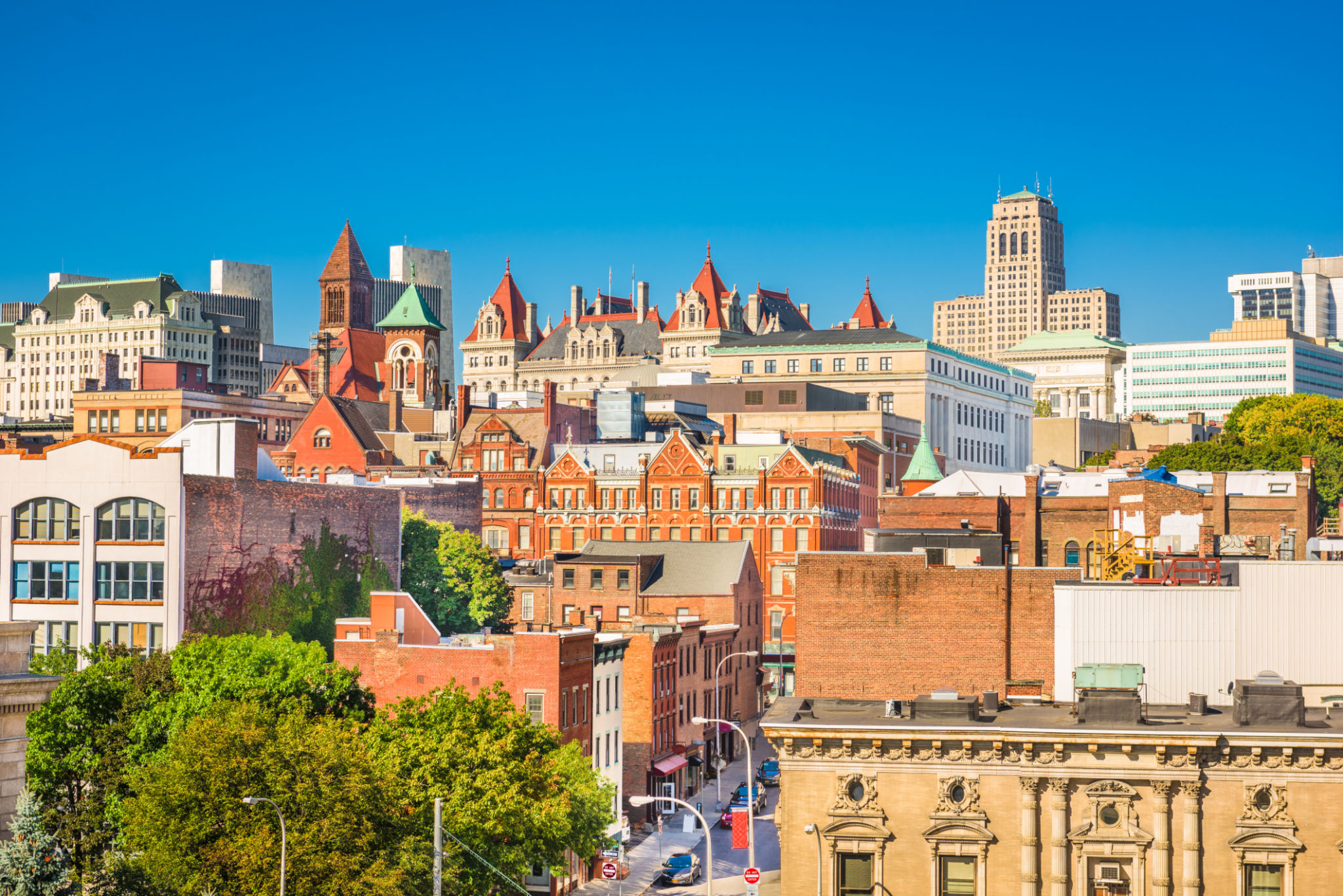 albany businesses