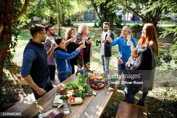 people toasting on a garden party - gast stock-fotos und bilder