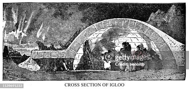 ilustraciones, imágenes clip art, dibujos animados e iconos de stock de sección transversal del iglú - iglu