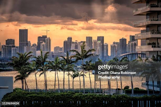 sunset with crepuscular rays over downtown miami as seen from miami beach, florida - miami background stock pictures, royalty-free photos & images