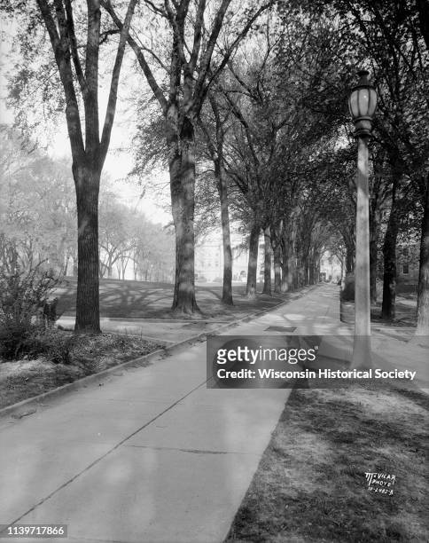 Elm-shaded north walk on Bascom Hill with Bascom Hall in the background at the University of Wisconsin-Madison, Madison, Wisconsin, May 5, 1931.