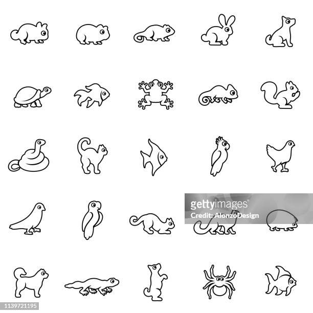 ilustraciones, imágenes clip art, dibujos animados e iconos de stock de conjunto de iconos de mascotas - gerbo