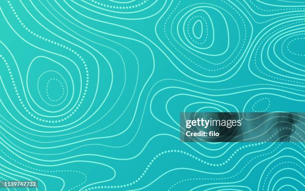 ilustraciones, imágenes clip art, dibujos animados e iconos de stock de líneas topográficas fondo patrón abstracto - topografía