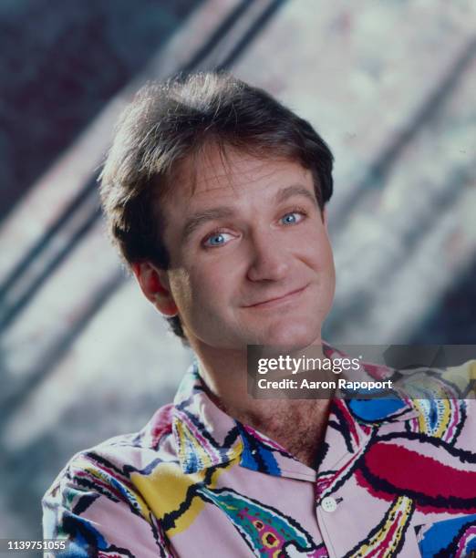 Antor Robi 4,231 Robin Williams Portrait Stock Photos, High-Res Pictures, and ...