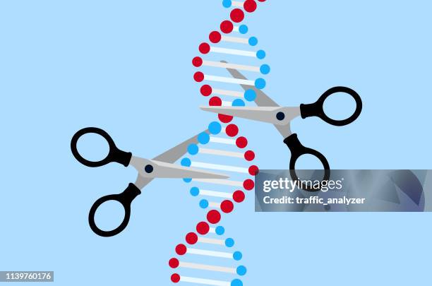 ilustraciones, imágenes clip art, dibujos animados e iconos de stock de la edición de genes crispr - genetica