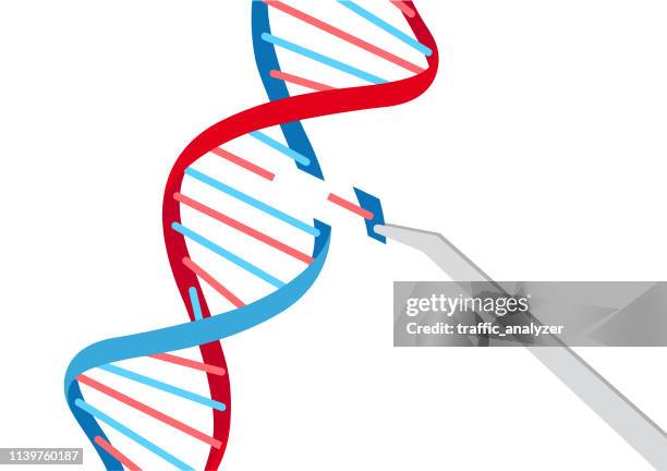 crispr - gene editing - sequential series stock illustrations