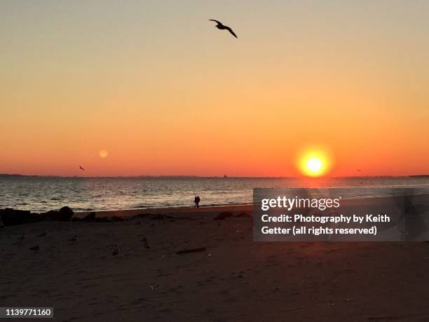 Sunset Authentic 88,016 Sunset Series Stock Photos, High-Res Pictures, and Images ...