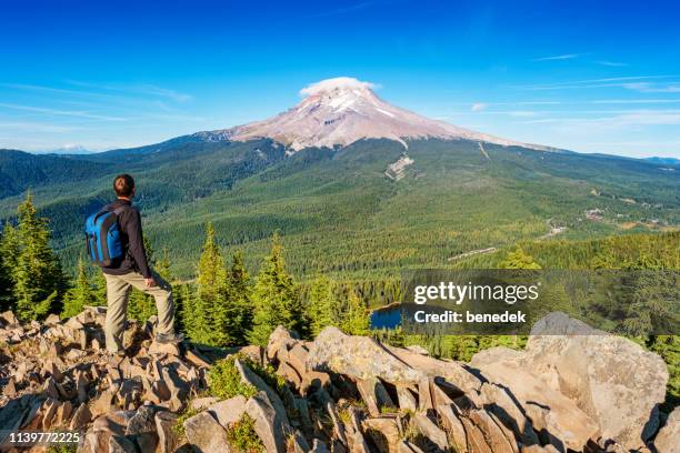 hiker in mount hood national forest oregon usa - oregon stock pictures, royalty-free photos & images