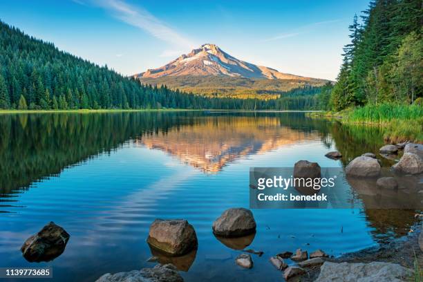trillium lake y mount hood oregon usa al atardecer - mt hood national forest fotografías e imágenes de stock