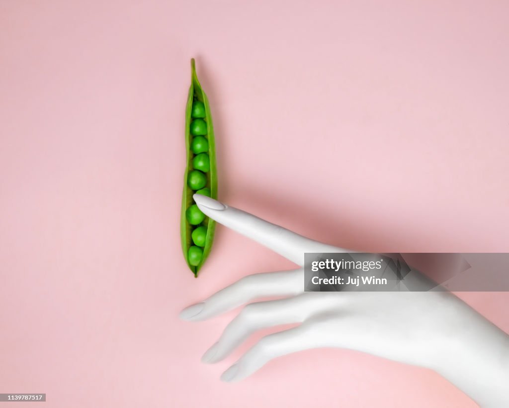 Hand touching peas in a pod