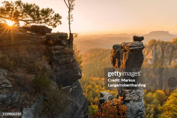 wehlnadel rocks at sunset in elbe sandstone mountains, germany, europe - elbsandsteingebirge stock-fotos und bilder