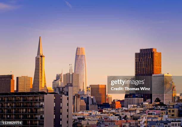 san francisco skyline in the afternoon - san francisco financial district stock pictures, royalty-free photos & images