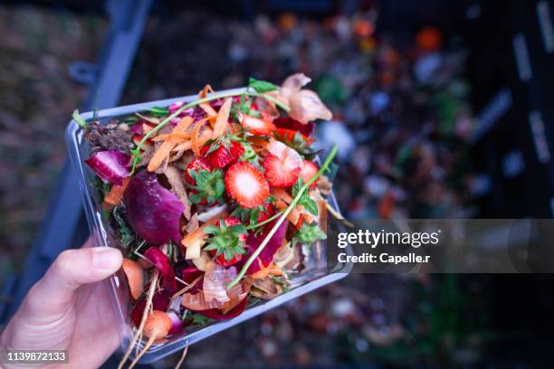 écologie - composter ses déchets verts - compost bin stock pictures, royalty-free photos & images