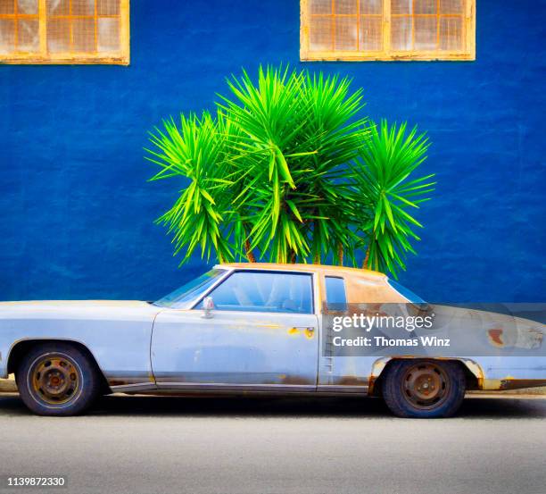 old car and cactus tree in front of blue wall - american classic car fotografías e imágenes de stock