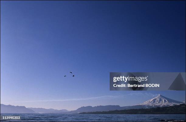 82 Buenos Aires 1991 Stock Photos, HighRes Pictures, and Images