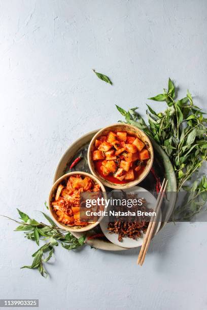 korean appetizer kimchi - tuber stock pictures, royalty-free photos & images