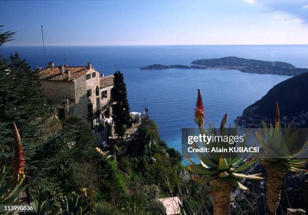 The Eze exotic garden in the Alpes Maritimes region In Eze, France On March 04, 2004-Aloe arborescens on the St Jean Cap Ferrat Bay.