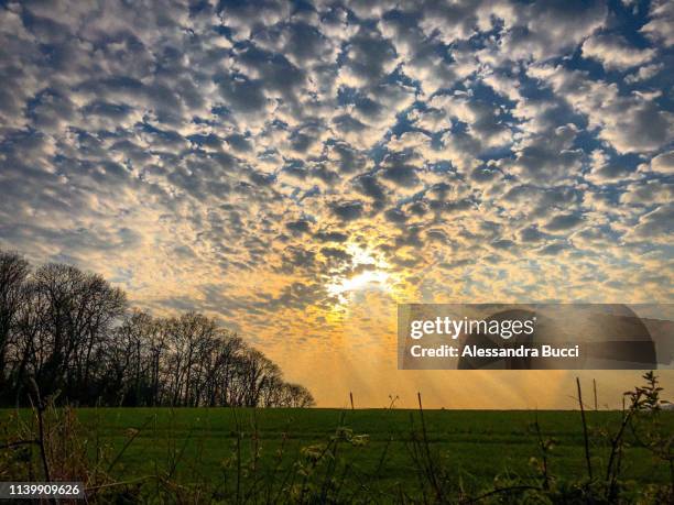 mackerel sky at sunset - inghilterra stock pictures, royalty-free photos & images