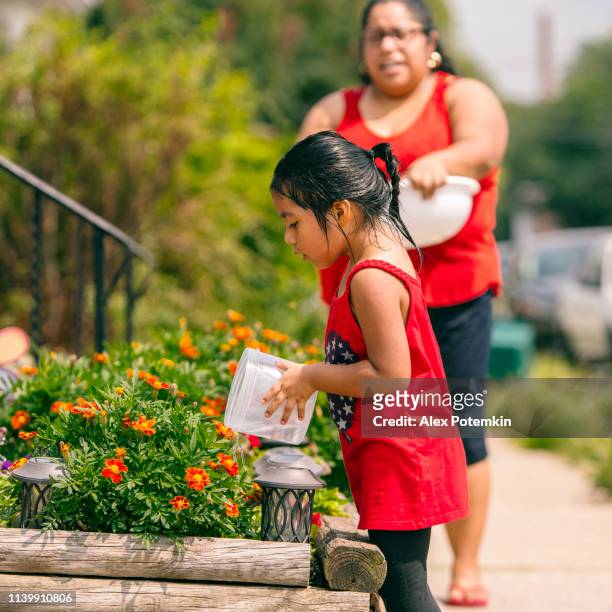 the big happy latino, mexican-american family. the little girl watering flowers nearby the porch, when her mother and sisters watching - hot mexican girls stock pictures, royalty-free photos & images