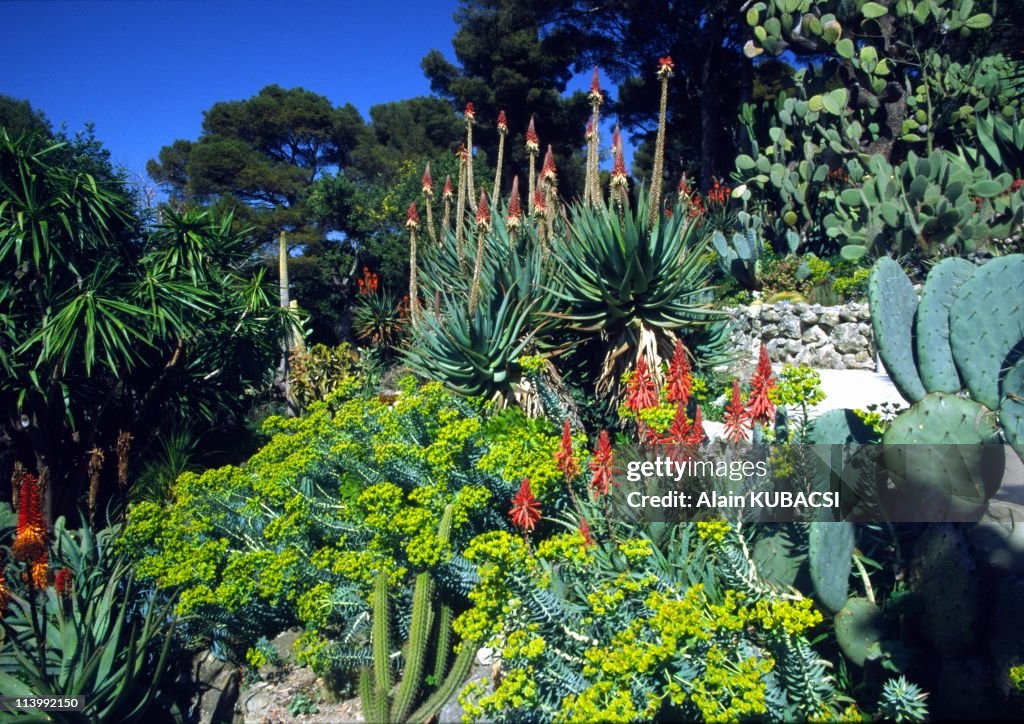 Villa Ephrussi de Rotschild's gardens in St Jean Cap Ferrat, Alpes Maritimes France On March 05, 2004-
