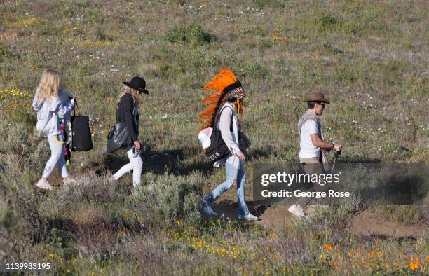 Following record winter rains, colorful poppies and other wildflowers have appeared at the Antelope Valley Poppy Preserve one hour north of Los...