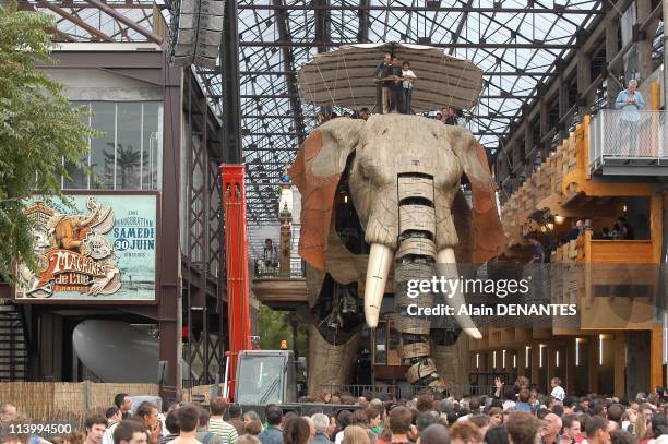 Launch the extraordinary Machines of Ile of Nantes with the first public release of Grand Elephant in Nantes, France on June 30, 2007-The Grand...
