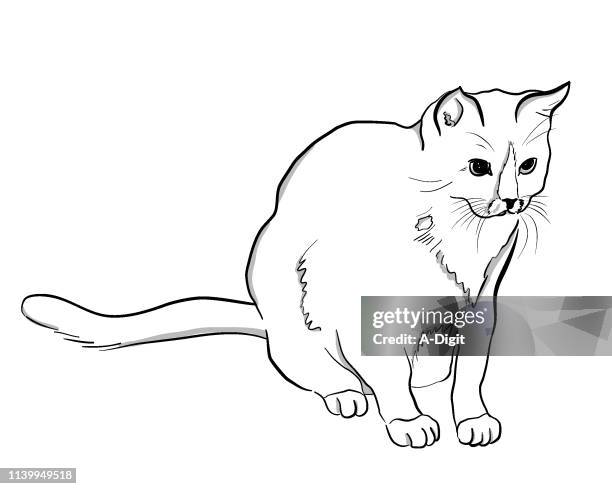 adorable cat - grey cat stock illustrations
