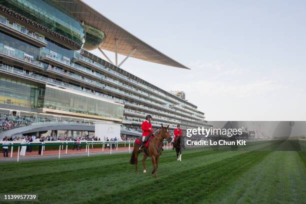 Uae Racetrack Meydan Racecourse Photos and Premium High Res Pictures - Getty Images