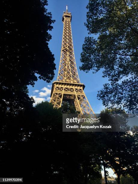 traveling in paris - jacquelyn kozak - fotografias e filmes do acervo