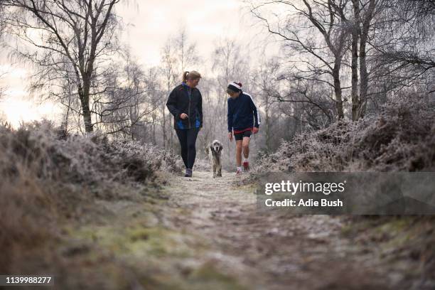 front view of mother and son walking with dog looking down - dog looking down stock pictures, royalty-free photos & images