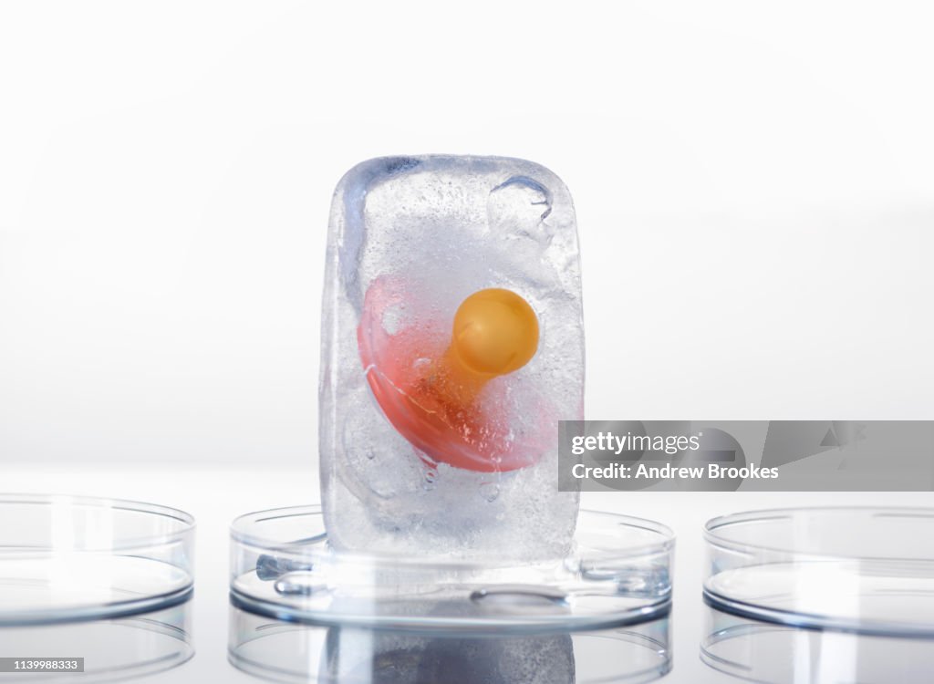 Baby dummy frozen in ice to illustrate frozen human embryos