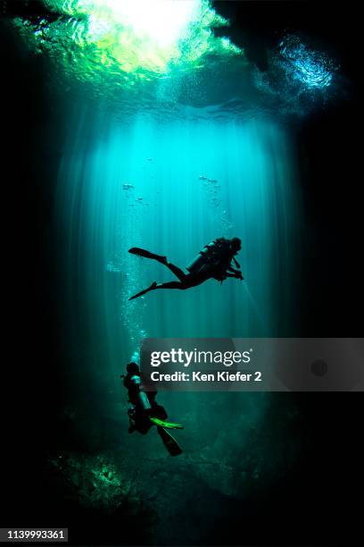 underwater view of male and female scuba divers exploring cenote called the pit, tulum, quintana roo, mexico - tulum foto e immagini stock