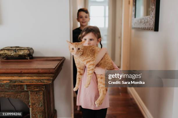 boy watching sister carrying cat at home - girls cuddling cat stock-fotos und bilder