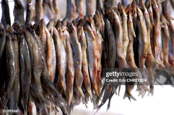 23 Max Audibert Photos & High Res Pictures Getty Images