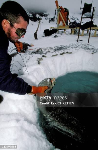 23 Max Audibert Photos & High Res Pictures Getty Images