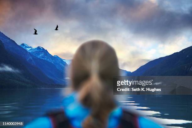 rear view of female hiker gazing at seagulls and mountain lake, haines, alaska, usa - vogelpiek stockfoto's en -beelden