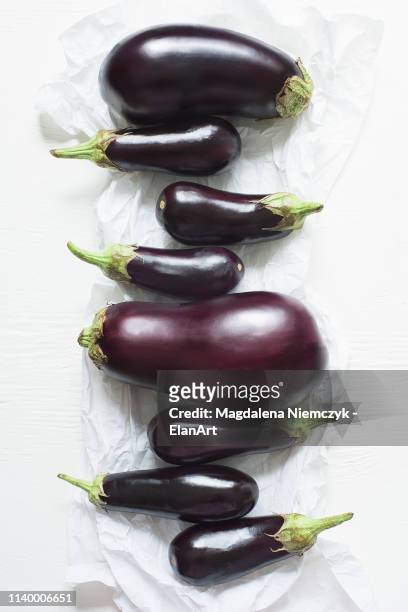 still life of a row of eight aubergines and baby aubergines - eggplant stock pictures, royalty-free photos & images