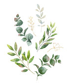 Watercolor vector wreath with green eucalyptus leaves and flowers .