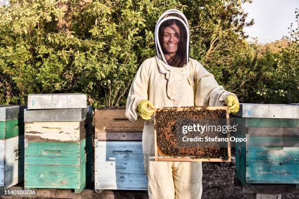 portrait of woman in beekeeper dress holding a hive frame full of bees - beekeeper stock pictures, royalty-free photos & images