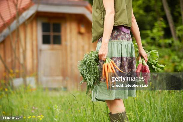 cropped view of woman carrying vegetables in field - idyllic stock-fotos und bilder