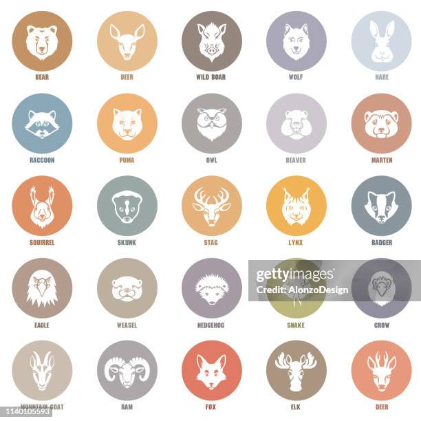 ilustraciones, imágenes clip art, dibujos animados e iconos de stock de wild animal faces icono conjunto - cabeza de animal