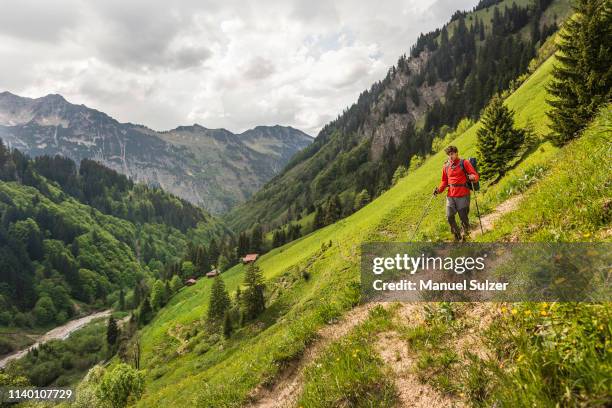 young man hiking on valley path, oberstdorf, bavaria, germany - alpes de bavaria fotografías e imágenes de stock