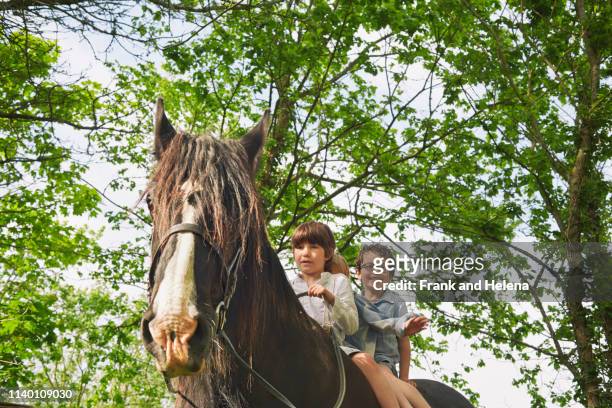 low angle view of three boys riding on horse - low rider bildbanksfoton och bilder