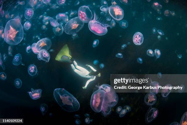 freediver mermaid with moon jellyfish - pretty mermaids stock pictures, royalty-free photos & images