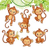 Vector set with monkey in different poses.