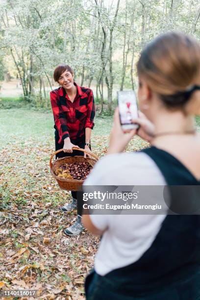women taking photo of chestnut collecting, rezzago, lombardy, italy - camisa castanha imagens e fotografias de stock
